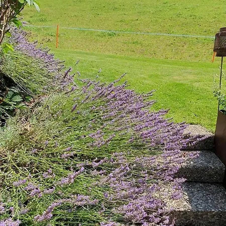 Chuderhuette - Ihr Guetli Im Emmental By Interhome *